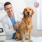 Microchip ID - Image 7